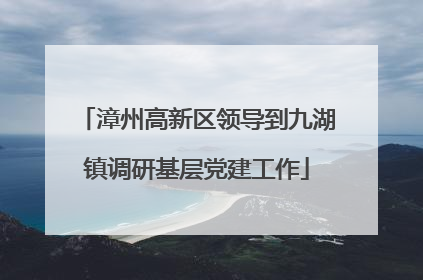 漳州高新区领导到九湖镇调研基层党建工作