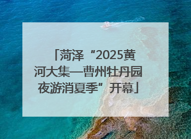 菏泽“2025黄河大集—曹州牡丹园夜游消夏季”开幕