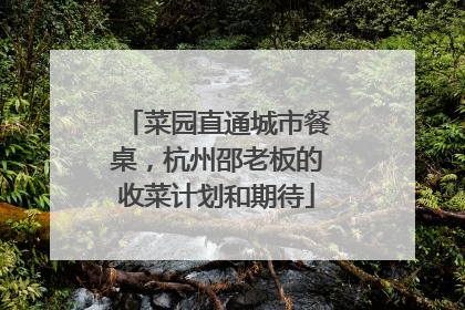 菜园直通城市餐桌，杭州邵老板的收菜计划和期待