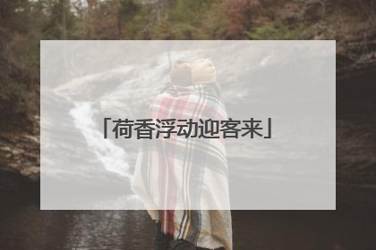 荷香浮动迎客来