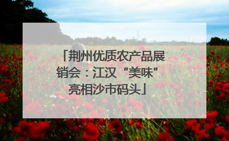 荆州优质农产品展销会：江汉“美味”亮相沙市码头