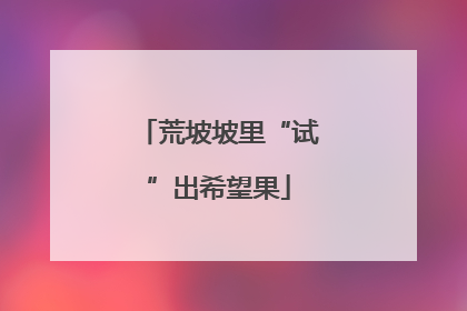 荒坡坡里“试”出希望果