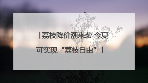 荔枝降价潮来袭 今夏可实现“荔枝自由”