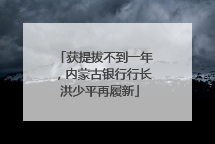 获提拔不到一年，内蒙古银行行长洪少平再履新