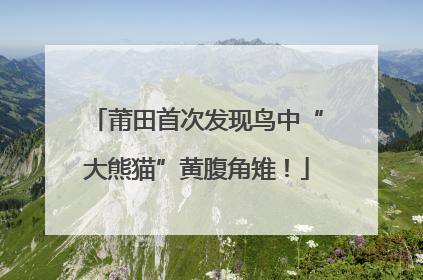 莆田首次发现鸟中“大熊猫”黄腹角雉！