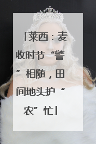 莱西：麦收时节“警”相随，田间地头护“农”忙