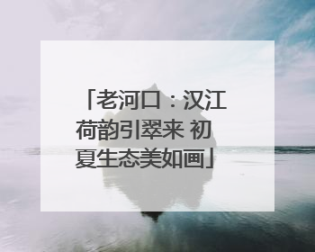 老河口：汉江荷韵引翠来 初夏生态美如画