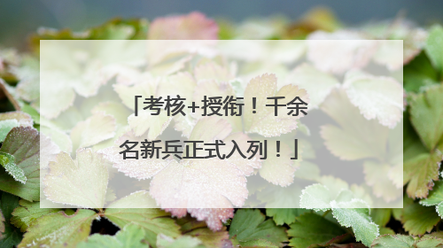 考核+授衔！千余名新兵正式入列！