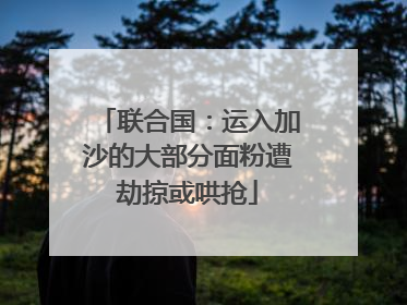 联合国：运入加沙的大部分面粉遭劫掠或哄抢