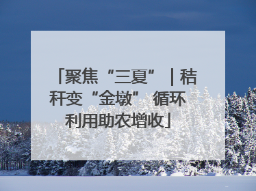 聚焦“三夏”｜秸秆变“金墩” 循环利用助农增收