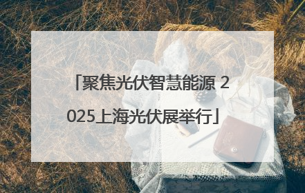 聚焦光伏智慧能源 2025上海光伏展举行