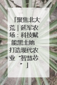 聚焦北大荒｜延军农场：科技赋能黑土地 打造现代农业“智慧芯”