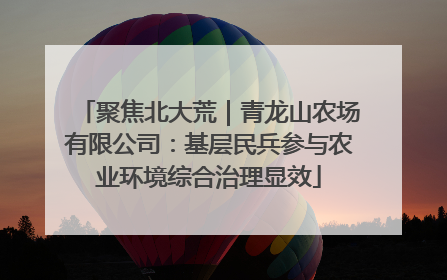 聚焦北大荒｜青龙山农场有限公司：基层民兵参与农业环境综合治理显效