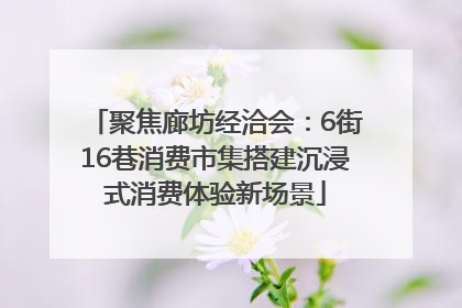 聚焦廊坊经洽会：6街16巷消费市集搭建沉浸式消费体验新场景