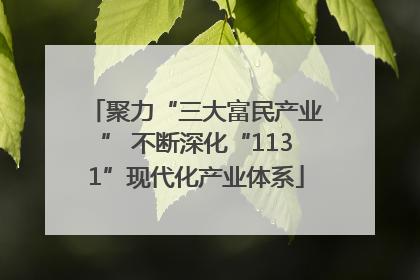 聚力“三大富民产业” 不断深化“1131”现代化产业体系