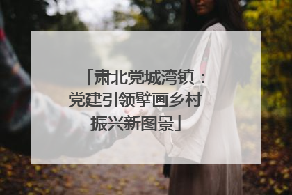 肃北党城湾镇：党建引领擘画乡村振兴新图景