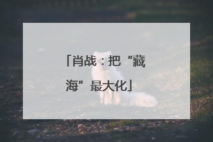 肖战：把“藏海”最大化