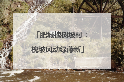 肥城槐树坡村：槐坡风动绿藤新