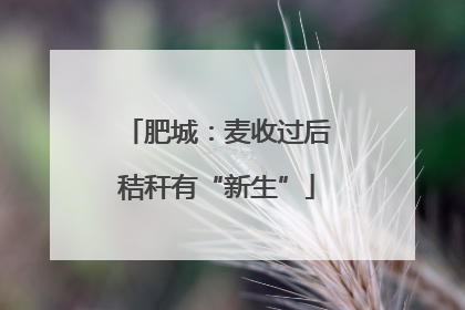 肥城：麦收过后秸秆有“新生”