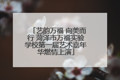 艺韵万福 向美而行 菏泽市万福实验学校第一届艺术嘉年华燃情上演