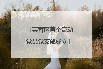 芙蓉区首个流动党员党支部成立