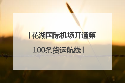 花湖国际机场开通第100条货运航线