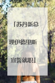 苏丹新总理伊德里斯宣誓就职