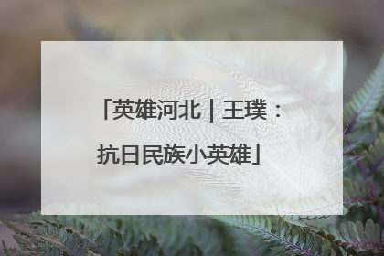 英雄河北｜王璞：抗日民族小英雄