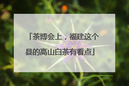 茶博会上，福建这个县的高山白茶有看点