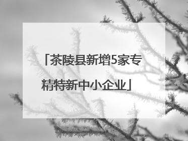 茶陵县新增5家专精特新中小企业