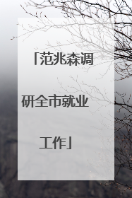 范兆森调研全市就业工作
