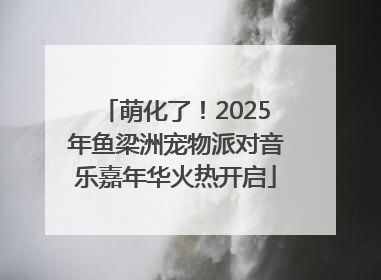 萌化了！2025年鱼梁洲宠物派对音乐嘉年华火热开启