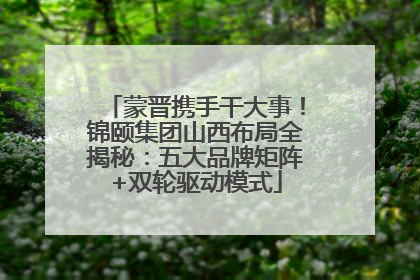 蒙晋携手干大事！锦颐集团山西布局全揭秘：五大品牌矩阵+双轮驱动模式