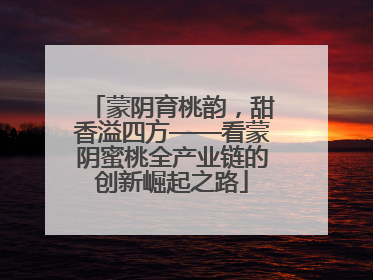 蒙阴育桃韵，甜香溢四方——看蒙阴蜜桃全产业链的创新崛起之路