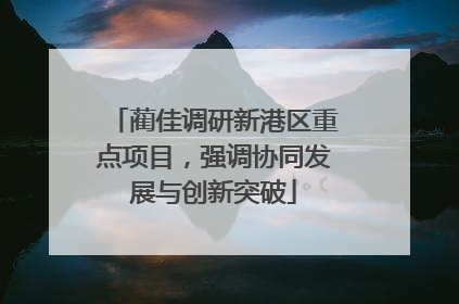 蔺佳调研新港区重点项目，强调协同发展与创新突破