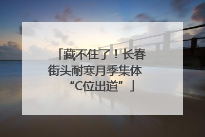 藏不住了！长春街头耐寒月季集体“C位出道”