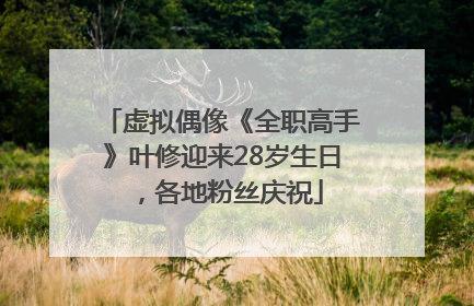 虚拟偶像《全职高手》叶修迎来28岁生日，各地粉丝庆祝