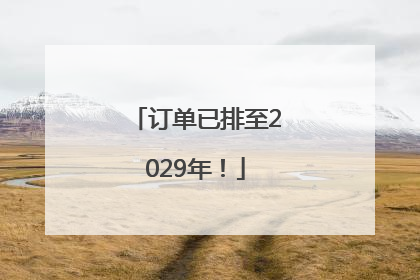订单已排至2029年！