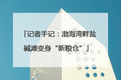 记者手记：渤海湾畔盐碱滩变身“新粮仓”