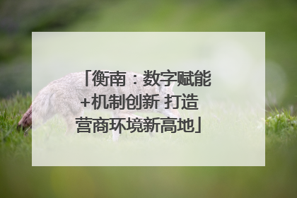 衡南：数字赋能+机制创新 打造营商环境新高地