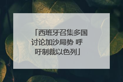 西班牙召集多国讨论加沙局势 呼吁制裁以色列