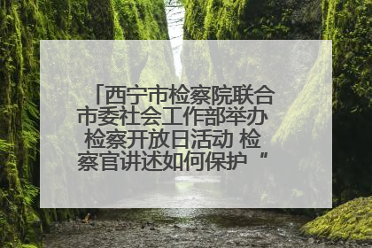 西宁市检察院联合市委社会工作部举办检察开放日活动 检察官讲述如何保护“少年的你”