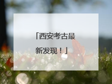 西安考古最新发现！