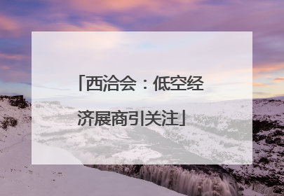 西洽会：低空经济展商引关注