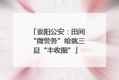 襄阳公安：田间“微警务”绘就三夏“丰收图”