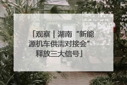 观察｜湖南“新能源机车供需对接会”释放三大信号