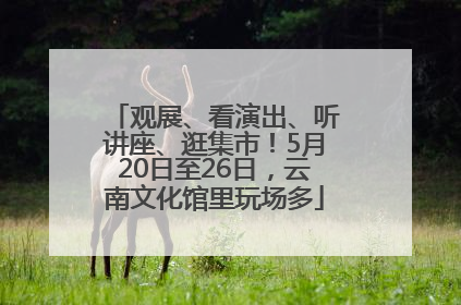 观展、看演出、听讲座、逛集市！5月20日至26日，云南文化馆里玩场多