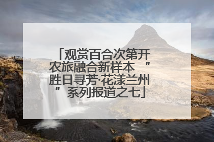 观赏百合次第开 农旅融合新样本 “胜日寻芳·花漾兰州”系列报道之七