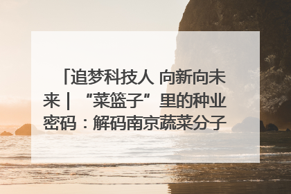 追梦科技人 向新向未来｜“菜篮子”里的种业密码：解码南京蔬菜分子育种的创新之路