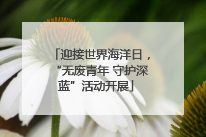 迎接世界海洋日，“无废青年 守护深蓝”活动开展